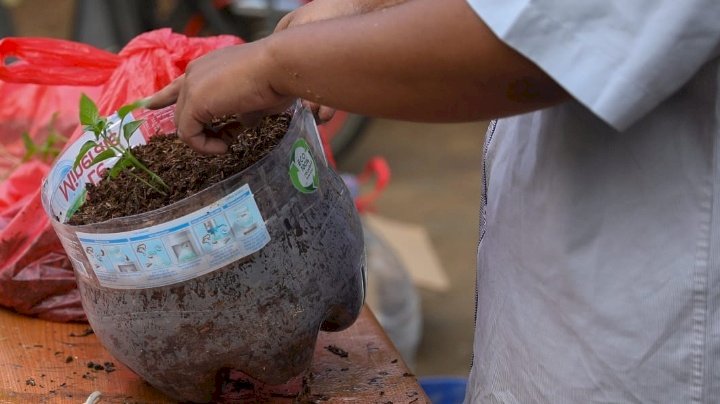Petani cabai di Malang 