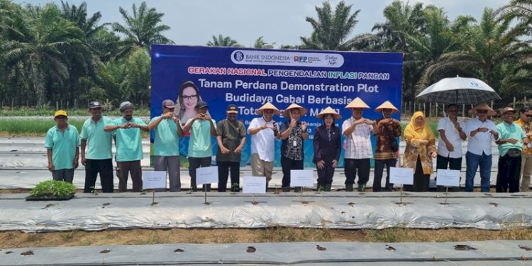 Penggunaan Teknologi Biosoildam MA 11 di bidang pertanian/Ist