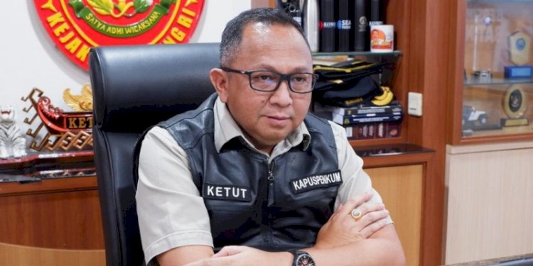 Kepala Pusat Penerangan Hukum Kejaksaan Agung RI, Ketut Sumedana/Ist