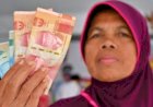 Pemerintah Gelontorkan 89,36 Persen BLT El Nino Sebesar Rp6,72 Triliun