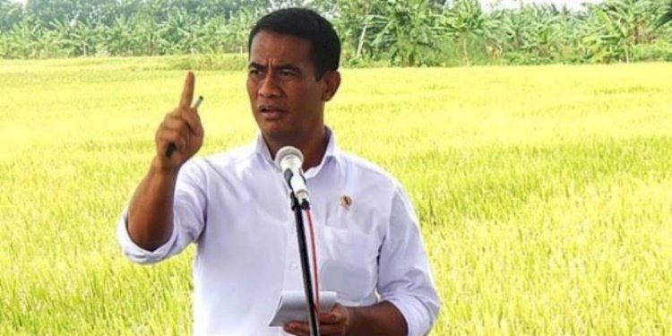 Menteri Pertanian Andi Amran Sulaiman/Net