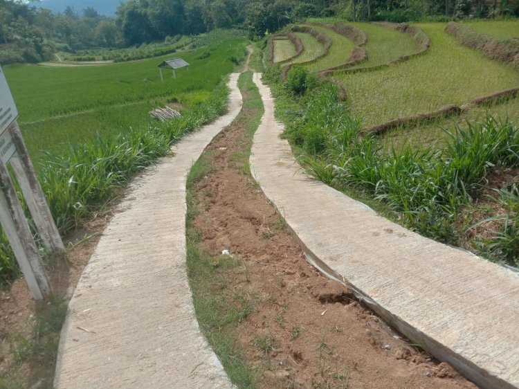 Keterangan foto: Jalan usaha tani wilayah atas Tahap I (PAK) di Desa/ Kecamatan Poncol, Kabupaten Magetan yang dibangun dengan kerimgat warga setempat/RMOLJatim.