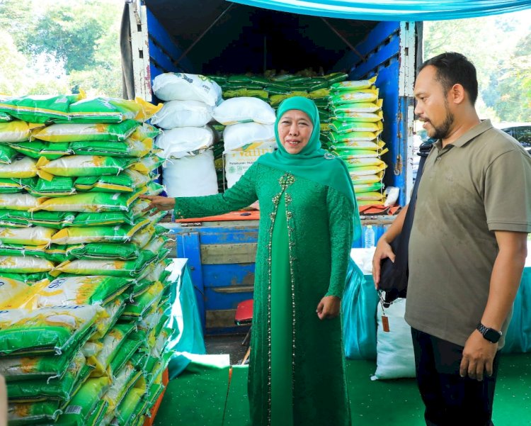 Khofifah Indar Parawansa saat memantau pupuk di Jember/Ist