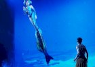 Grand Launching Varuna, Theatrical Underwater Dining Pertama di Indonesia