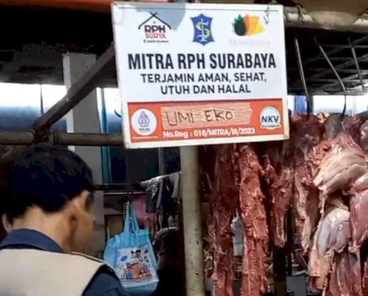 Petugas RPH Surabaya saat mengecek kualitas daging di pasar/RMOLJatim