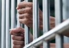Pelarian Wanita Muda Buronan Kasus Penipuan 3 Tahun Sembunyi di Jepang Berakhir