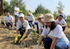 Acer Indonesia Tanam 1000 Mangrove di Kawasan Konservasi Wonorejo