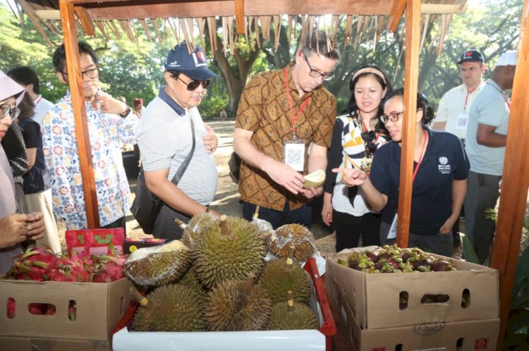 Delegasi dari 12 negara ketika mengunjungi destinasi wisata De Djawatan Cluring, Banyuwangi/Humas Pemkab Bwi