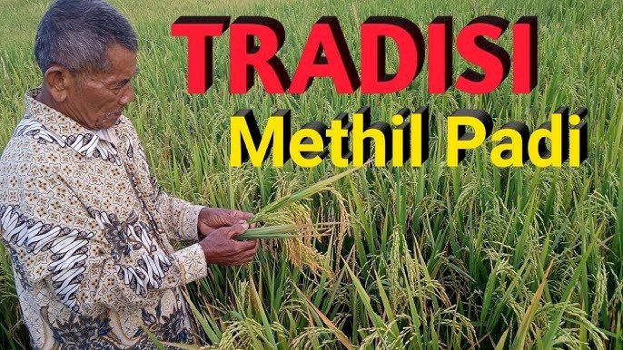 Tangkapan layar medsos/ 
