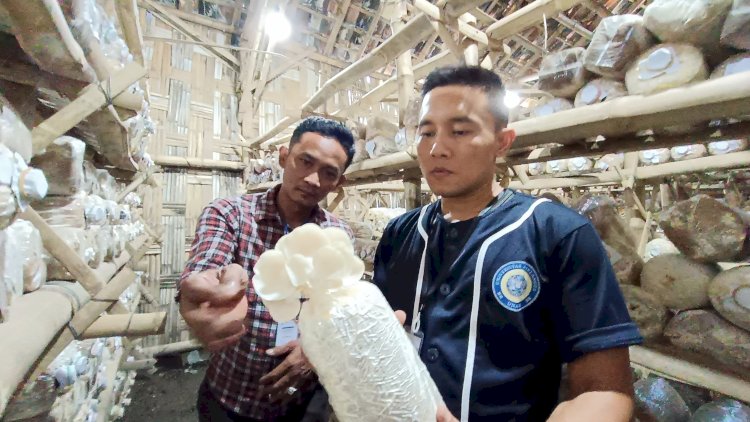 Pelatihan yang digelar oleh Mahasiswa Unair 