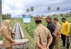 Banyuwangi Bangun dan Revitalisasi 123 Km Jaringan Irigasi Skema Padat Karya