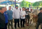 Hari Raya Idul Adha Partai Demokrat Jatim Potong 15 Ekor Sapi  dan Kambing