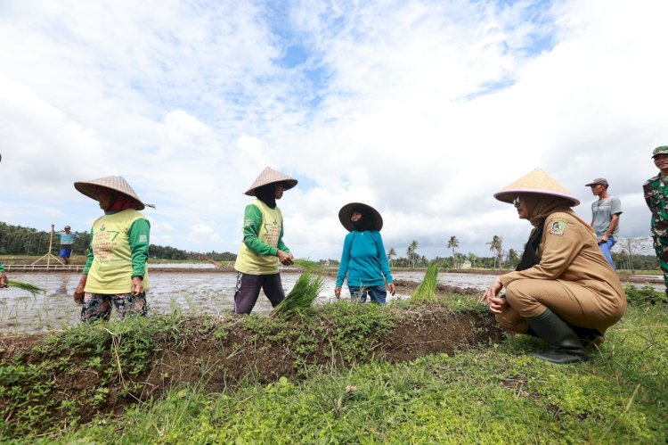 Bupati Ipuk meninjau pertanian terpadu saat menjalani program Bunga Desa/Humas Pemkab Bwi
