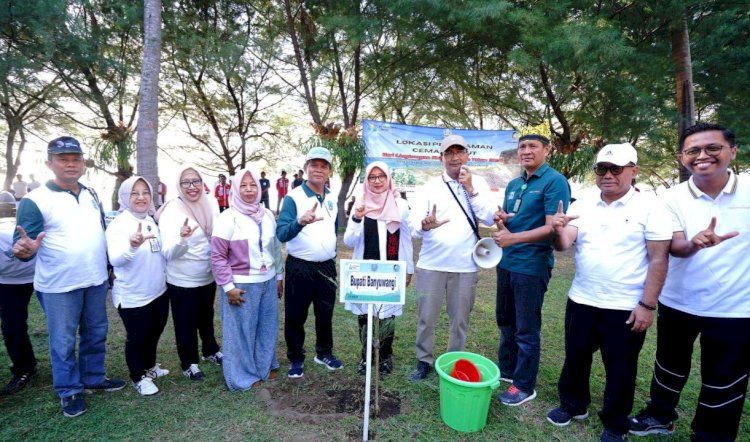 Bupati Ipuk bersama Kepala DLH Pemprov Jatim Jempin Marbun, Kepala Bakorwil V Jember Fadjar Prijantoro, dan VP Department Lingkungan PT Petrokimia Liliek Harmianto melakukan penanaman pohon cemara udang di Pantai GWD saat Hari Lingkungan Hidup Sedunia/Humas Pemkab Bwi