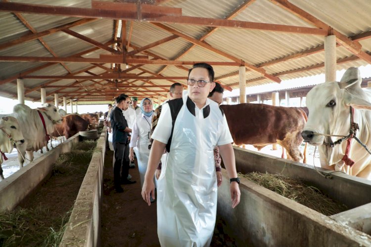Pj Gubernur Adhy saat meninjau HFT Glorious Farm di Kabupaten Lamongan pada Jumat (7/6)/Ist