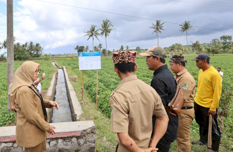 Bupati Banyuwangi Ipuk Fiestiandani meninjau pelaksanaan pembangunan infrastruktur pengairan di Desa Gendoh dan Temuguruh, Kecamatan Sempu/Humas Pemkab Bwi