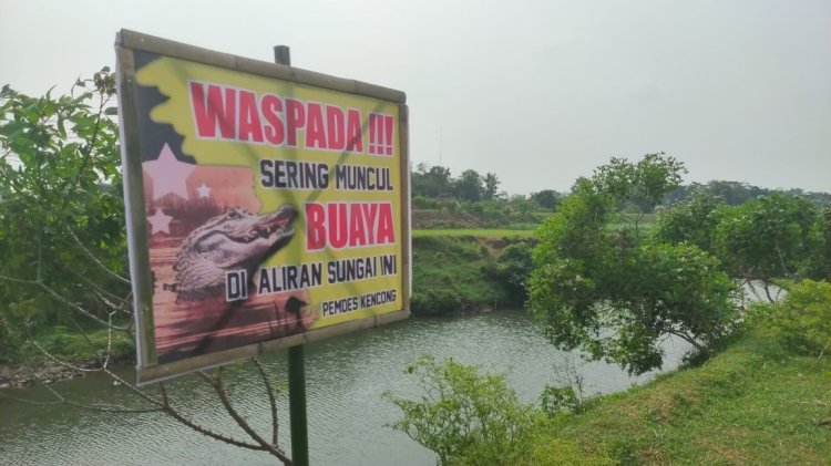 Banner imbauan waspada buaya di Kencong, Jember/RMOLJatim