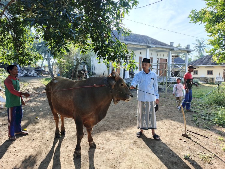 Sapi kurban dari Kapolri/RMOLJatim