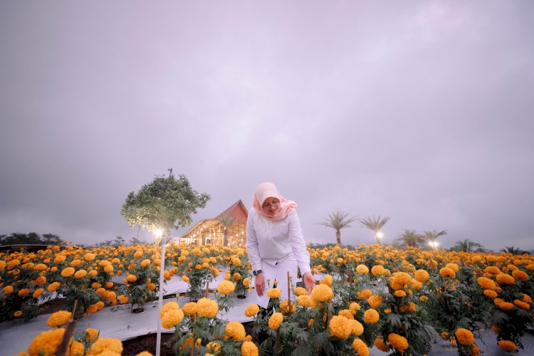 Bupati Ipuk Fiestiandani menikmati salah satu spot keindahan di AWT Banyuwangi/Humas Pemkab Bwi