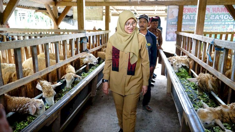 Bupati Ipuk mengunjungi peternak Sopas Desa Sumbermulyo, Kecamatan Pesanggaran/Humas Pemkab Bwi