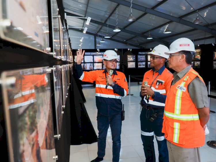 Menteri ESDM tinjau proyek smelter 