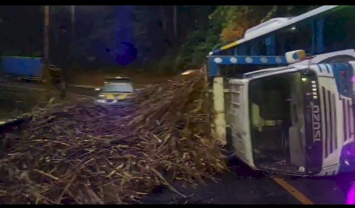 Truk Bermuatan tebu terguling, muatan tumpah ke badan jalan/RMOLJatim