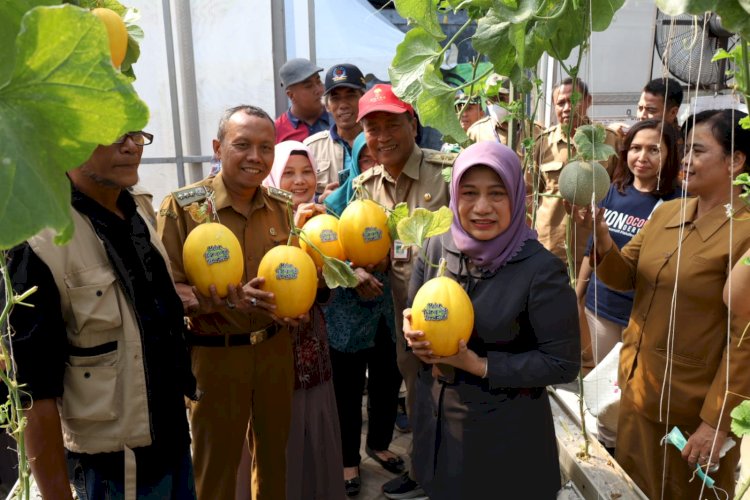 Teks foto: Antiek Sugiharti bersana Muslich Hariadi saat panen melon/ist