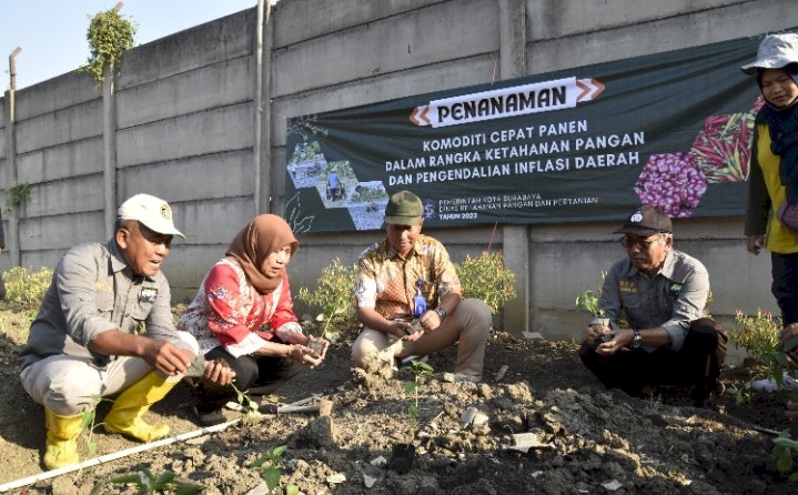 Pemkot Surabaya Gerakkan Warga Tanam Cabai/ist