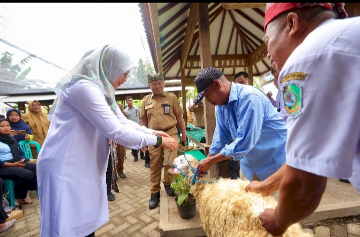 Bupati Ipuk memberikan paket bantuan kepada sejumlah peternak di Banyuwangi/Humas Pemkab Bwi