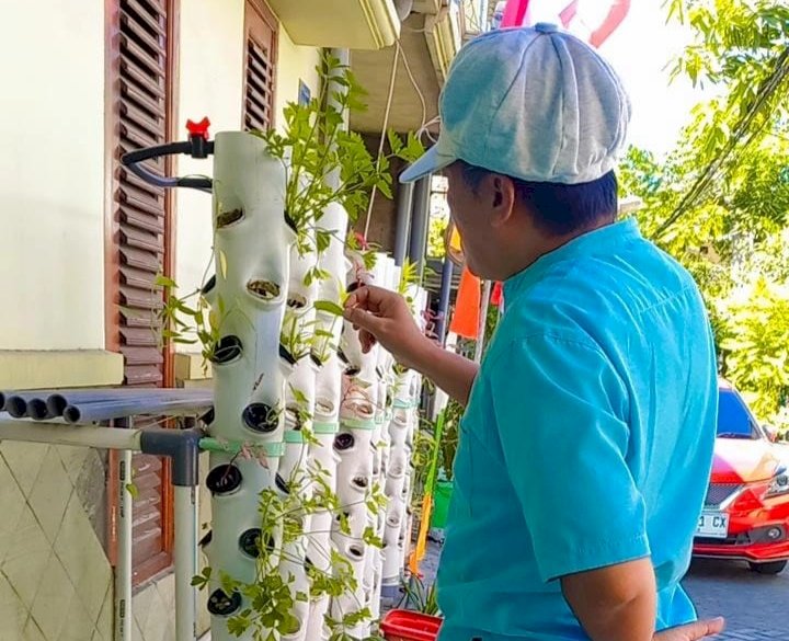 Foto : Pecinta tanaman hidroponik