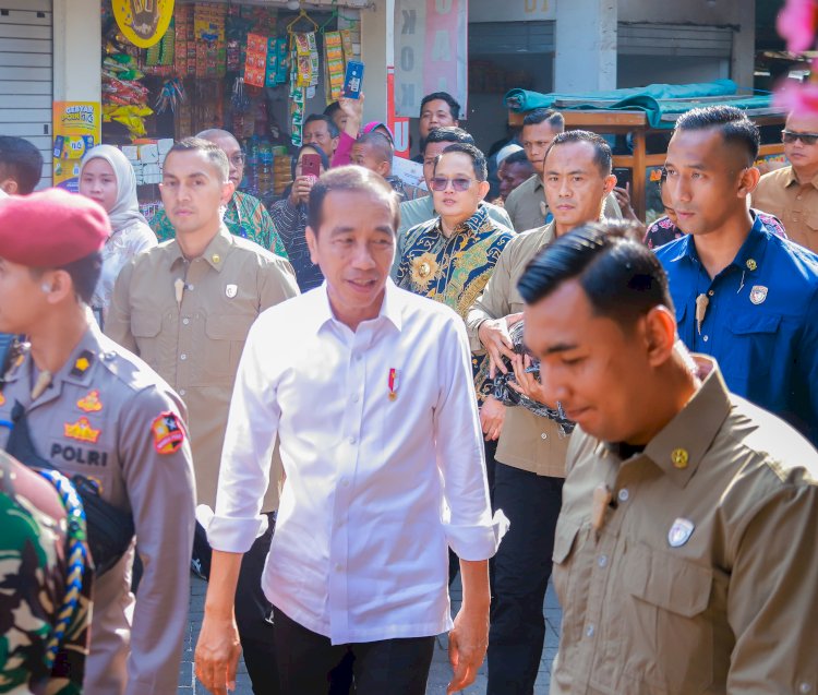 Presiden Jokowi / ist