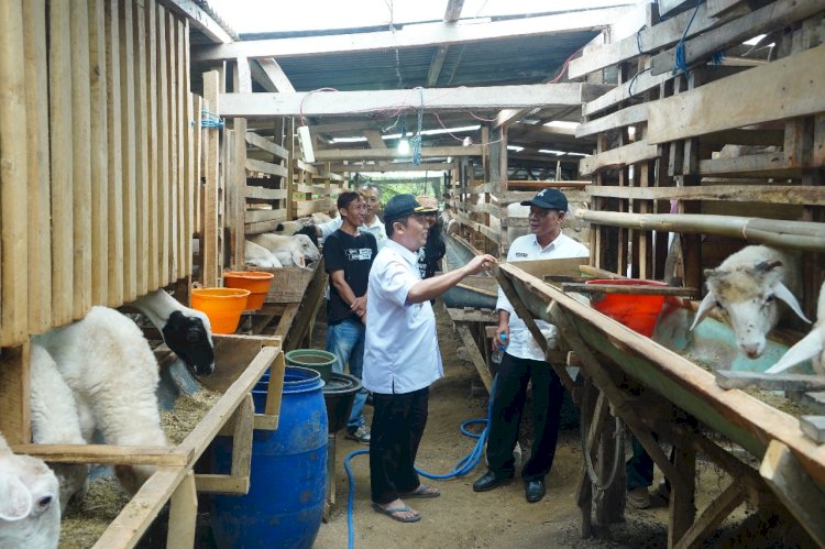 Penjabat Bupati Madiun, Tontro Pahlawanto saat sidak kandang komunal di Dusun Bodowaluh, Desa Cermo, Kecamatan Kare/Ist