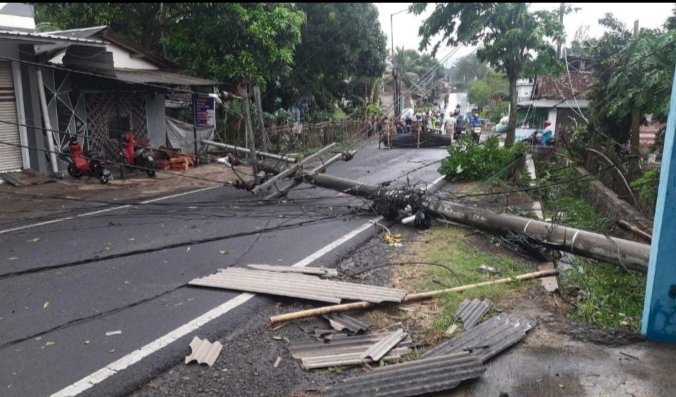 Pohon dan tiang listrik di Jember tumbang/RMOLJatim