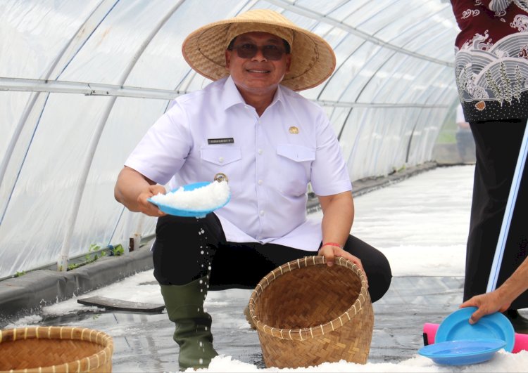 Plt Bupati Malang, H Didik Gatot Subroto di kegiatan panen raya garam/Ist