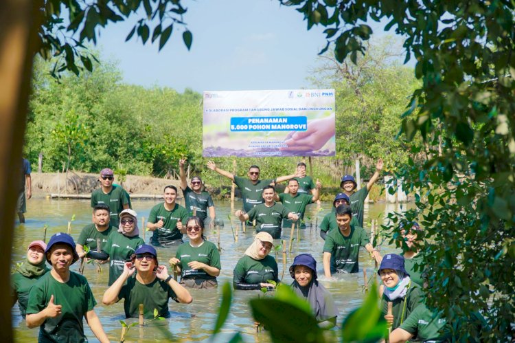 Berkomitmen lestarikan lingkungan, SIER tanam 5.000 bibiit mangrove di KRM Surabaya