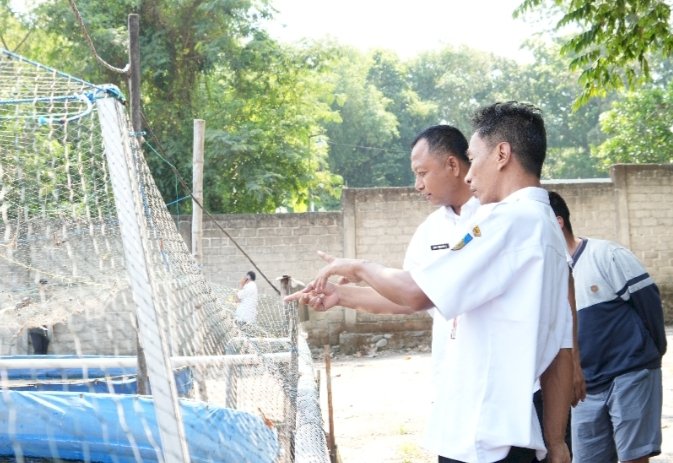 Pjs Bupati Kediri Heru Wahono Santoso meninjau produsen ikan lele/Ist