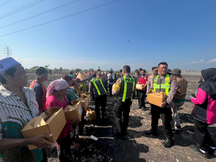 Ruang Terbuka Hijau di kawasan industri PIER yang akan ditanami jagung 