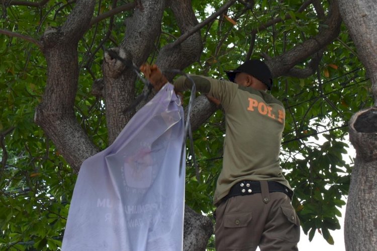 Teks foto: Satpol PP Surabaya melepas APS/ist