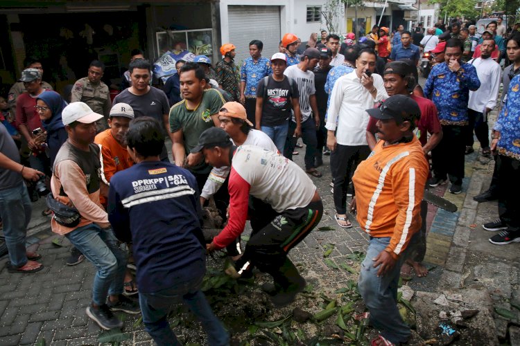 Teks foto; Wali Kota Eri memantau pembersihan pohon tumbang akibat angin puting beliung/RMOLJatim