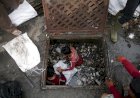 Potongan Kabel Utilitas dan Penolakan Pembangunan Jembatan Penyebab Genangan di Beberapa Kawasan Surabaya