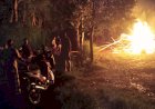 Diduga Jadi Tempat Pesta Miras, Gubuk Kecil Berkedok Warung Kopi di Lahan Pemkab Jember Dibakar