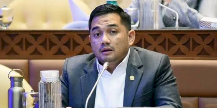 Ketua Komisi II DPR RI, Rifqinizamy Karsayuda/Net