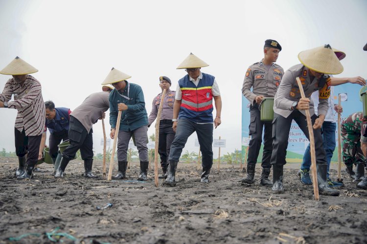 Lahan untuk ketahanan pangan 