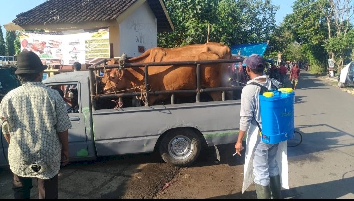 Langkah camat dan petugas tiga pilar melakukan pencegahan Penularan virus PMK di Pasar Hewan Tempurejo/Ist