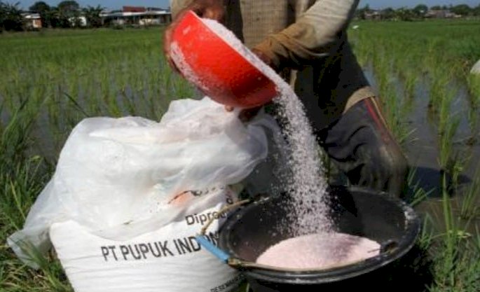 Pupuk Petrokimia Gresik/Ist