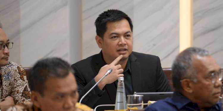 Anggota Komisi XI DPR, Tommy Kurniawan/Ist