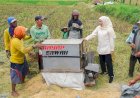 Khofifah Panen Raya Padi Sehat di Pasuruan, Penggunaan Pupuk Probiotik Hasilkan Beras Rendah Karbo dan Kalori