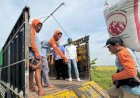 Mimpi Petani atas Kenaikan HPP Gabah
