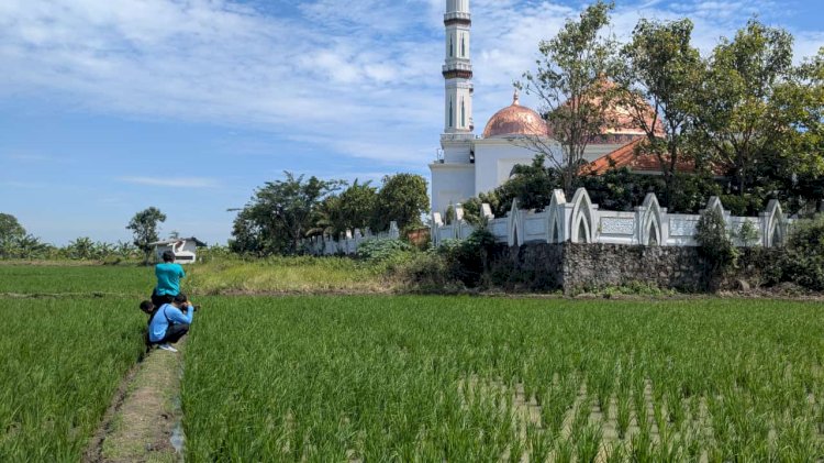 Pihak Pemdes Purwosari dan Staff DPMD saat mengecek lokasi patok tanah.