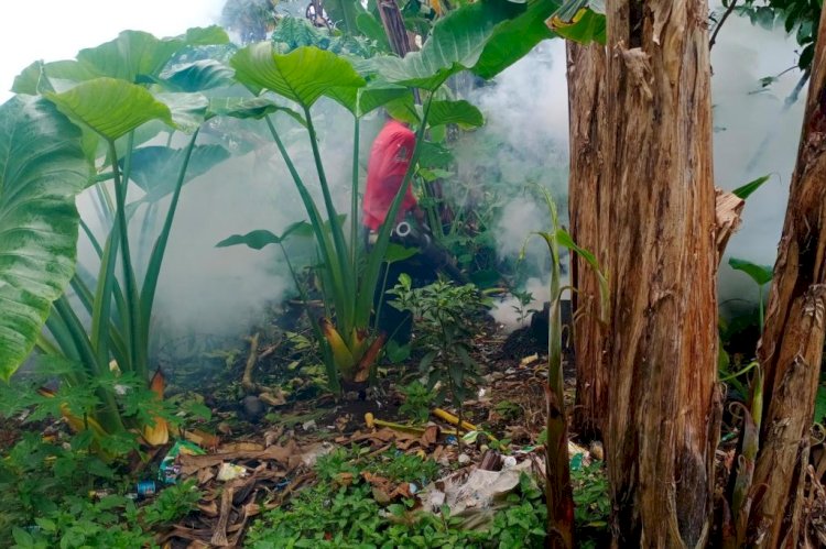 Petugas Dinas Kesehatan Kabupaten Probolinggo saat melakukan Fooging. /RMOL Jatim    